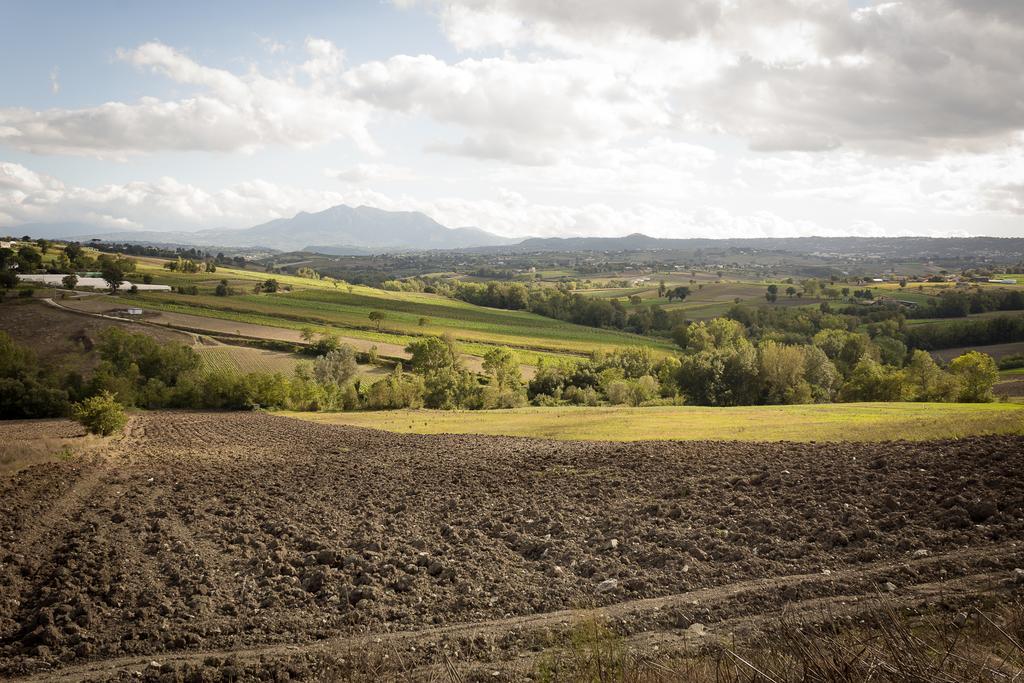 Agriturismo Villa Luisa Apice Luaran gambar